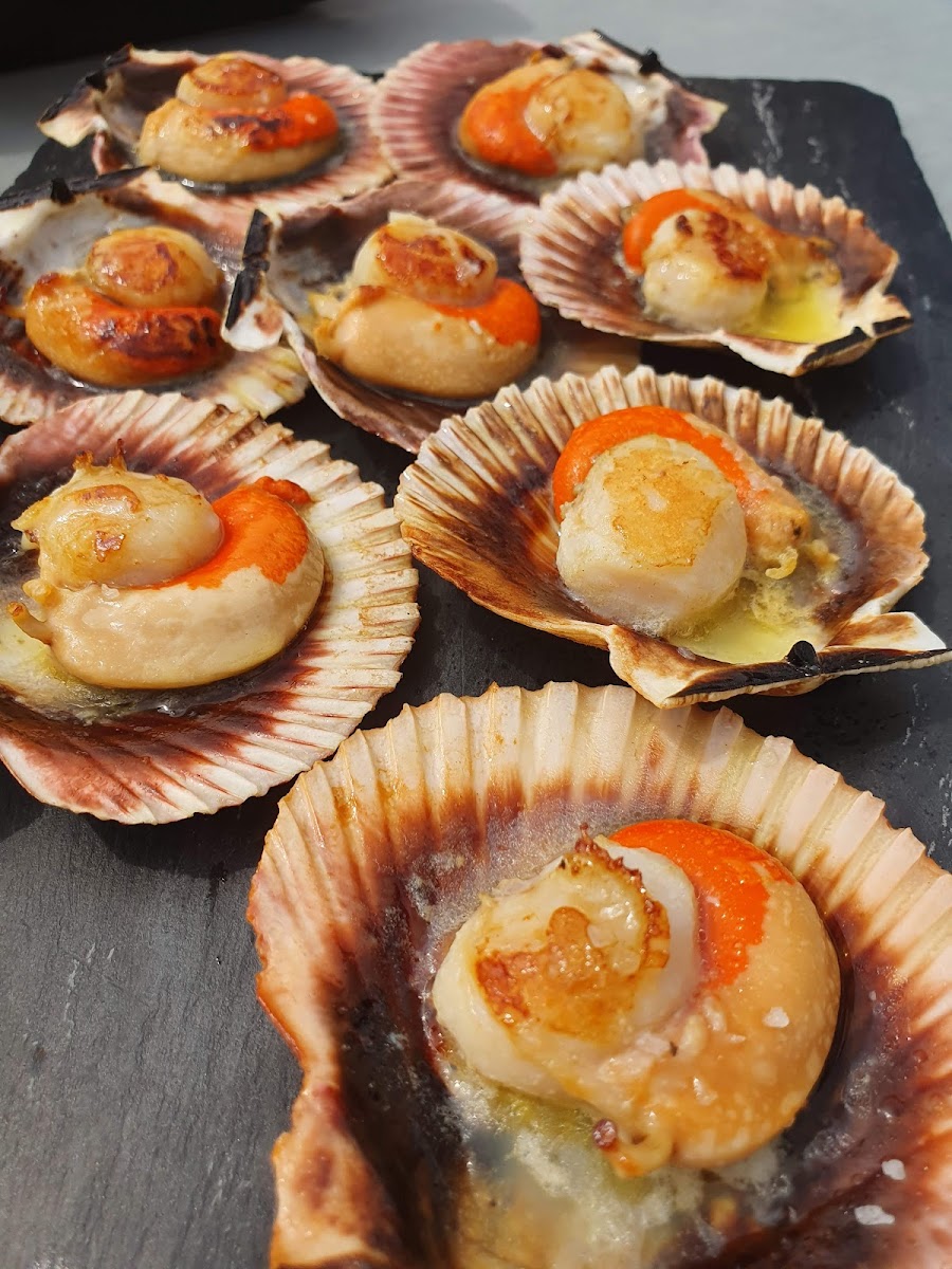 Bar Brisa Comidas Photos 2